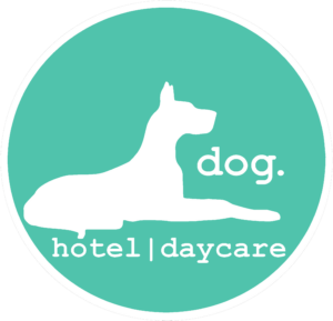 dog logo teal